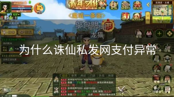 为什么诛仙私发网支付异常