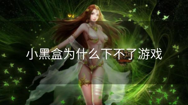 小黑盒为什么下不了游戏