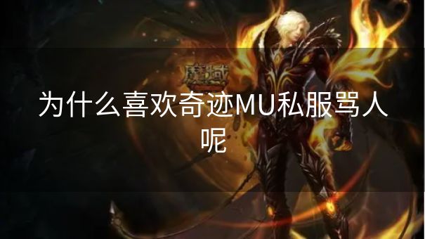 为什么喜欢奇迹MU私服骂人呢
