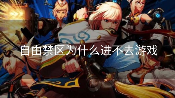 自由禁区为什么进不去游戏