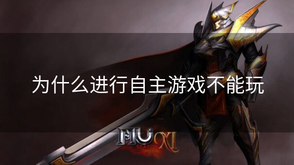 为什么进行自主游戏不能玩