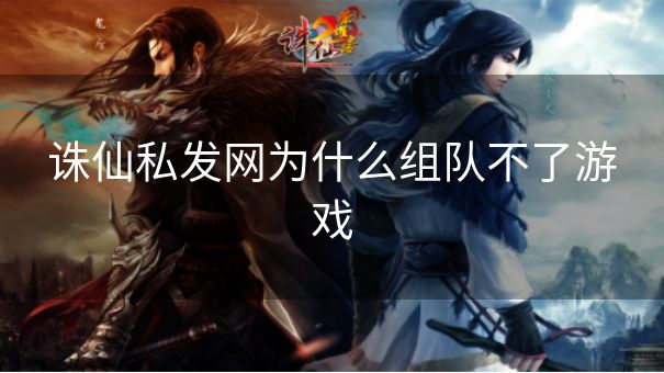 诛仙私发网为什么组队不了游戏