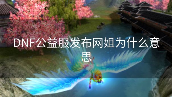 DNF公益服发布网姐为什么意思