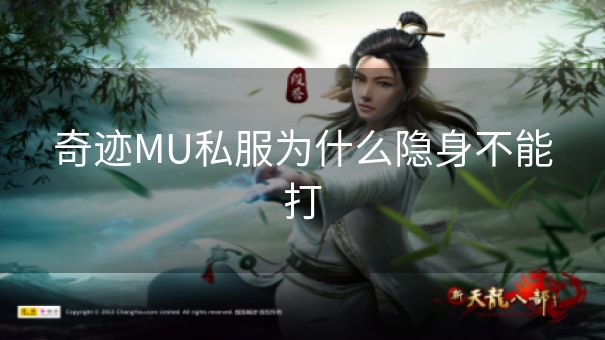 奇迹MU私服为什么隐身不能打