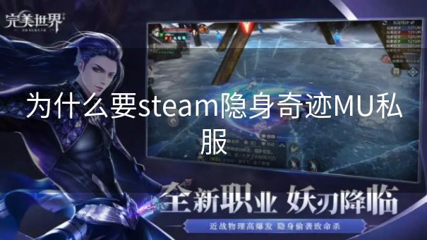 为什么要steam隐身奇迹MU私服