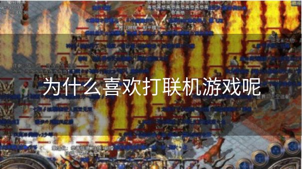 为什么喜欢打联机游戏呢