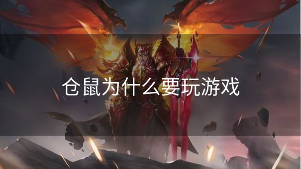 仓鼠为什么要玩游戏