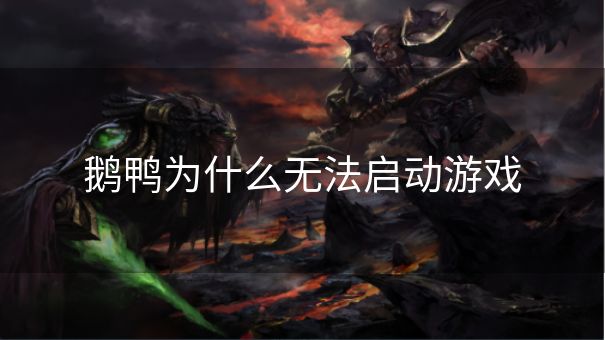 鹅鸭为什么无法启动游戏