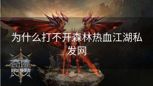 为什么打不开森林热血江湖私发网