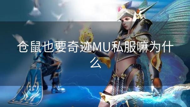 仓鼠也要奇迹MU私服嘛为什么