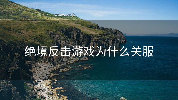 绝境反击游戏为什么关服