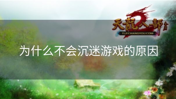 为什么不会沉迷游戏的原因