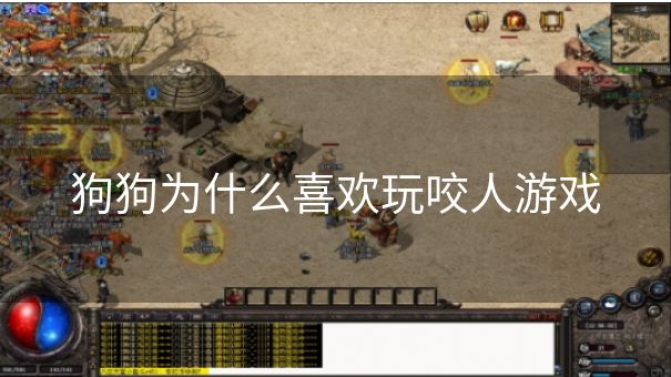 狗狗为什么喜欢玩咬人游戏 狗狗为什么喜欢玩咬人游戏