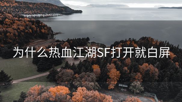 为什么热血江湖SF打开就白屏
