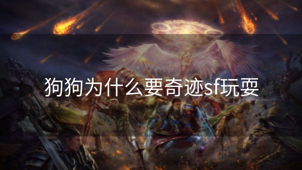 狗狗为什么要奇迹sf玩耍