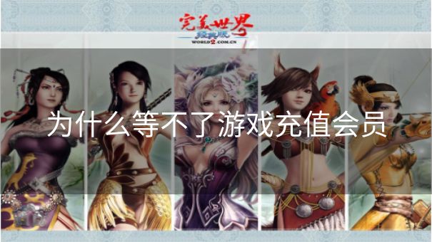 为什么等不了游戏充值会员