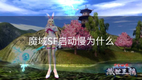 魔域SF启动慢为什么