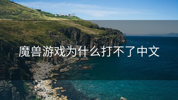 魔兽游戏为什么打不了中文