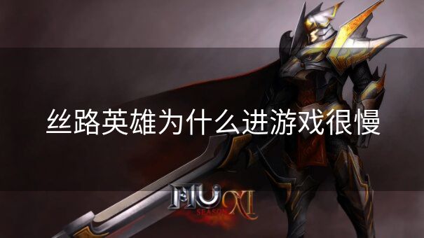 丝路英雄为什么进游戏很慢