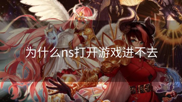 为什么ns打开游戏进不去