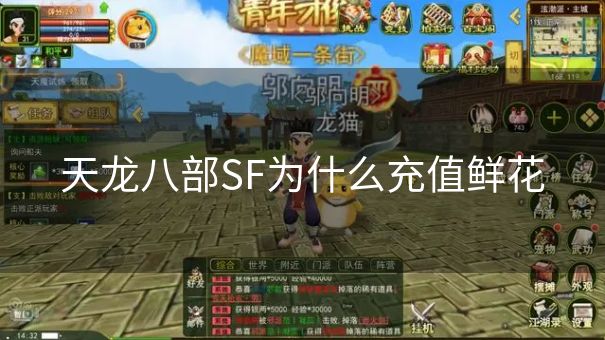 天龙八部SF为什么充值鲜花
