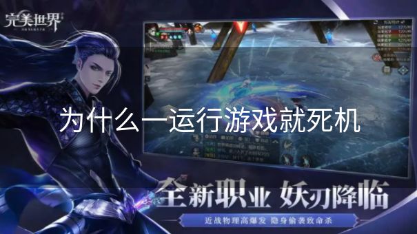 为什么一运行游戏就死机