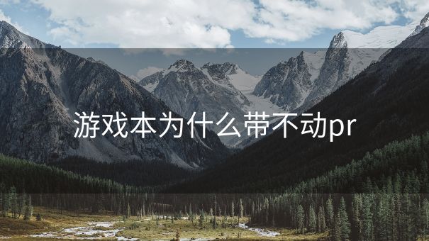 游戏本为什么带不动pr