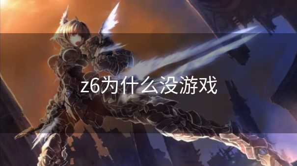 z6为什么没游戏