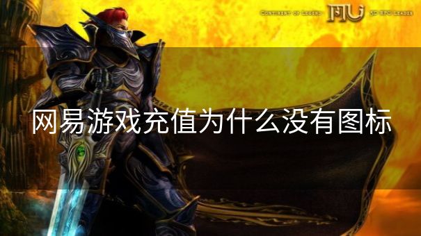 网易游戏充值为什么没有图标