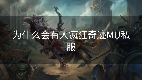 为什么会有人疯狂奇迹MU私服