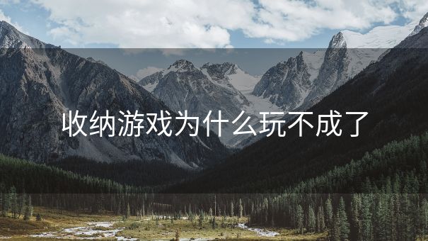 收纳游戏为什么玩不成了