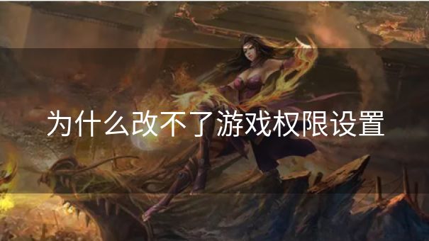 为什么改不了游戏权限设置