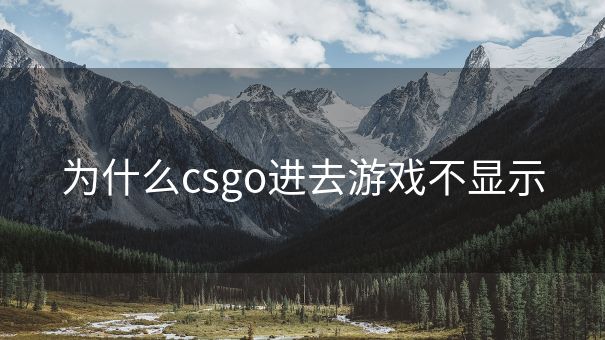 为什么csgo进去游戏不显示