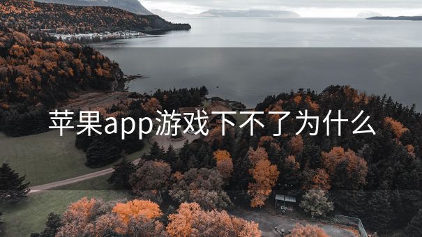 苹果app游戏下不了为什么