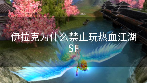 伊拉克为什么禁止玩热血江湖SF