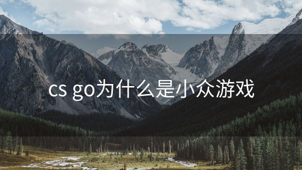 cs go为什么是小众游戏