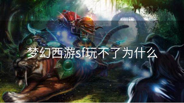 梦幻西游sf玩不了为什么