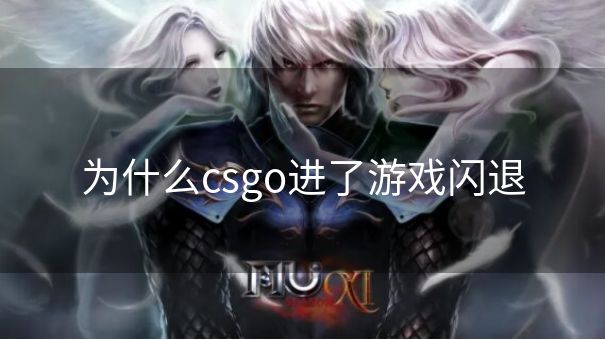 为什么csgo进了游戏闪退
