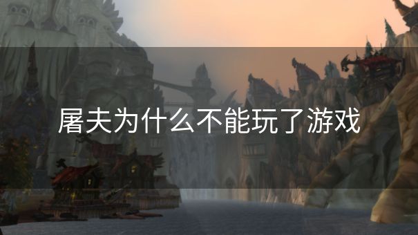 屠夫为什么不能玩了游戏
