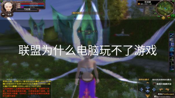 联盟为什么电脑玩不了游戏