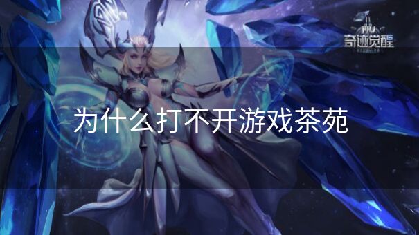 为什么打不开游戏茶苑