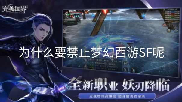 为什么要禁止梦幻西游SF呢