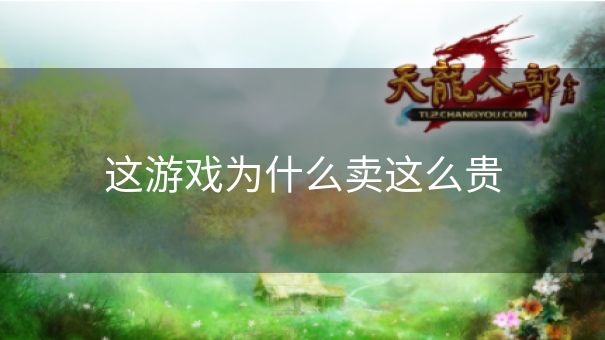 这游戏为什么卖这么贵