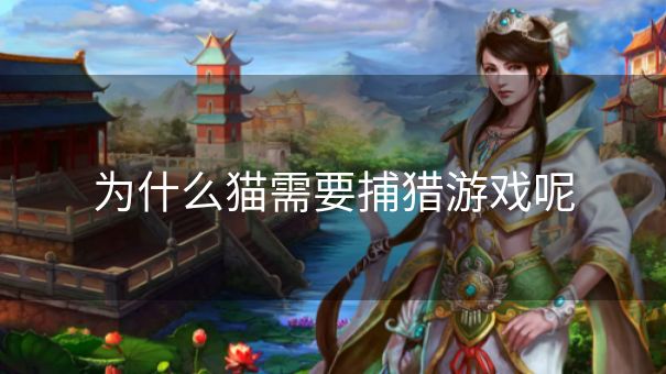 为什么猫需要捕猎游戏呢