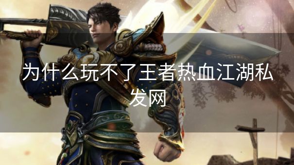 为什么玩不了王者热血江湖私发网