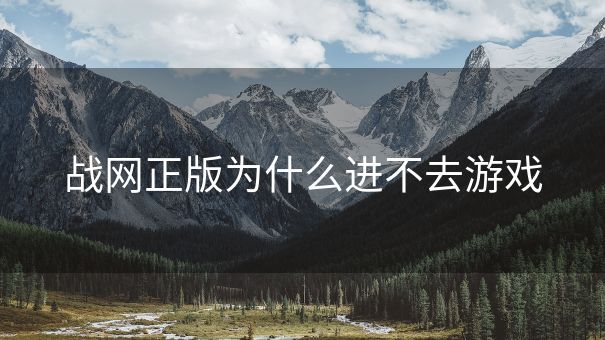 战网正版为什么进不去游戏