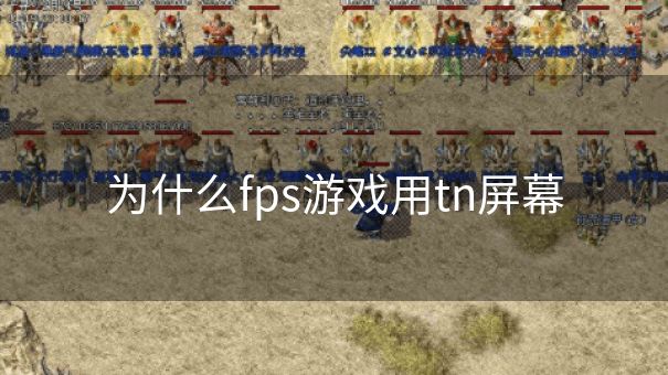 为什么fps游戏用tn屏幕