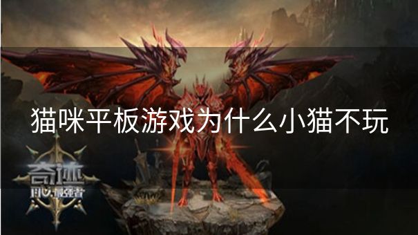 猫咪平板游戏为什么小猫不玩