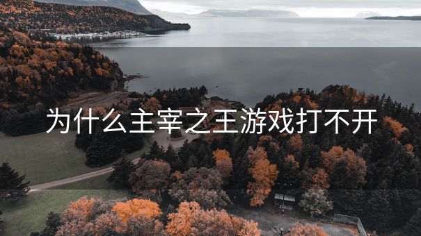 为什么主宰之王游戏打不开