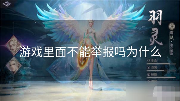 游戏里面不能举报吗为什么